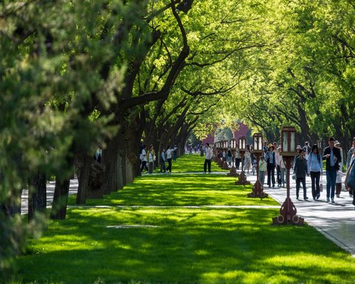 A lush public city park area during evening hours with people strolling under shade trees