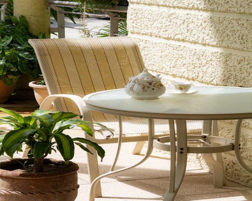 A peaceful home veranda with plants during a quiet weekend morning, showing a restful atmosphere